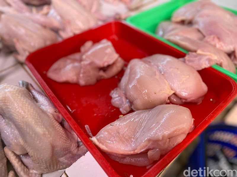 Kenali Perbedaan Ayam Negeri, Ayam Jantan hingga Ayam Kampung