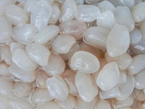 10 Manfaat Kolang-kaling bagi Kesehatan, Bantu Cegah Dehidrasi