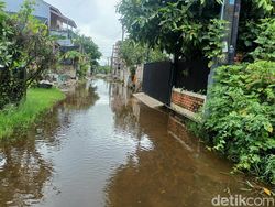 Warga Jakabaring Resah Ular Masuk Rumah Saat Banjir