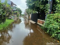 Warga Jakabaring Resah Ular Masuk Rumah Saat Banjir