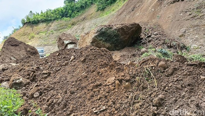 Material longsor tebing setinggi 50 meter di Lumajang tutup bahu jalan.
