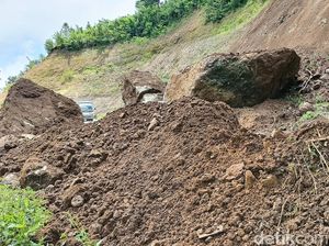 Batu Besar Longsor dari Tebing Setinggi 50 Meter di Jalur Lumajang-Malang