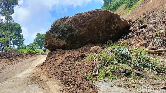 Material longsor tebing setinggi 50 meter di Lumajang tutup bahu jalan.