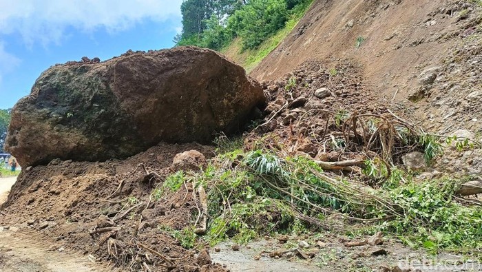 Material longsor tebing setinggi 50 meter di Lumajang tutup bahu jalan.