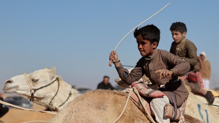 Bedouin breeders try to control a camel ridden by a robot jockey during the Ismailia Camel Racing Festival which is known as 
