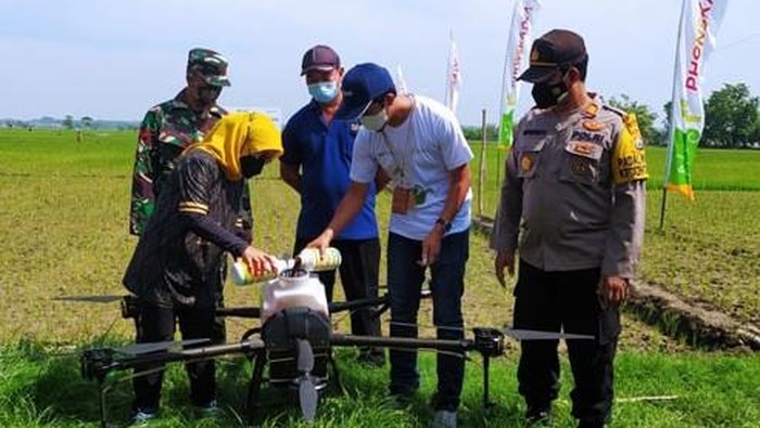 Pemupukan dengan drone di Lamongan hasil kerja sama Pemkab Lamongan dengan Pupuk Indonesia.