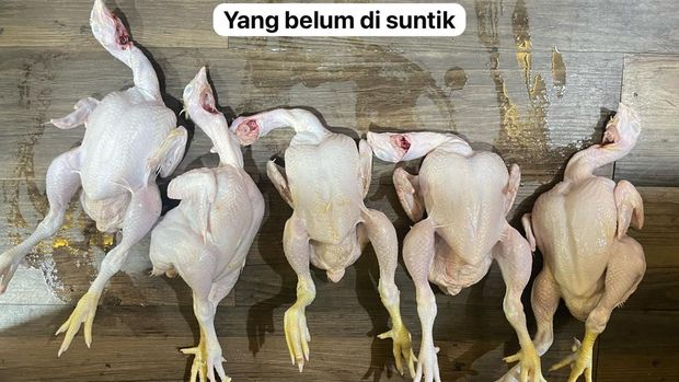 Penampakan ayam gelonggong yang sudah disuntik air, dijual oknum pedagang di Pasar Kebayoran Lama, Jakarta Selatan.