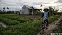 Begini suasana pertanian di Kampung Belendung, Desa Kedung Pengawas, Kecamatan Babelan.