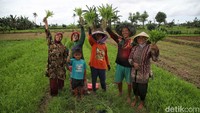 Keceriaan para petani usai panen sayur kangkung.