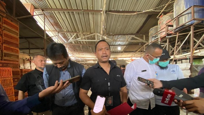 Praktik ayam gelonggongan di Jaksel (Taufiq/detikcom)
