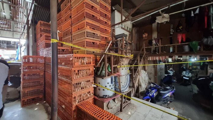 Praktik ayam gelonggongan di Jaksel (Taufiq/detikcom)
