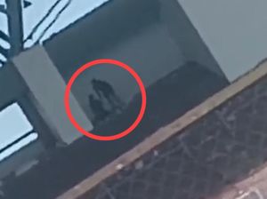 Sejoli Diduga Mesum di Stadion La Patau Matanna Tikka Bone, Polisi Selidiki