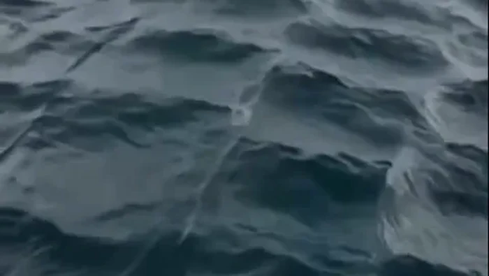 Fenomena laut kotak-kotak