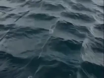 Segera Hindari Jika Kamu Lihat Laut Bergelombang Kotak-kotak