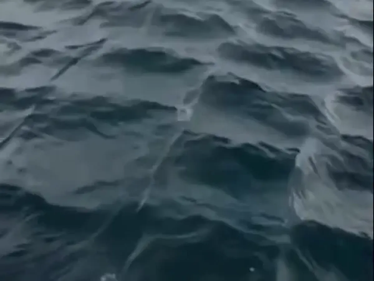 Fenomena Laut Kotak-Kotak