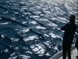 Fenomena Berbahaya di Balik Gelombang Laut Kotak-kotak