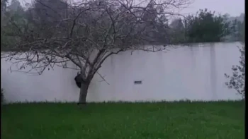 Apakah kamu melihat danau di foto ini? Jika iya, selamat kamu terkecoh. Itu adalah dinding berwarna putih. Foto: Reddit