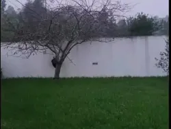 Jangan Mau Terkecoh dengan Deretan Foto Ini