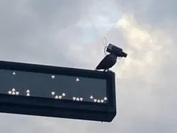 Jangan Mau Terkecoh dengan Deretan Foto Ini