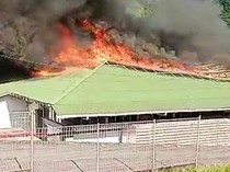 Pabrik Air Minum di Karangasem Terbakar, Damkar Masih Lakukan Penanganan