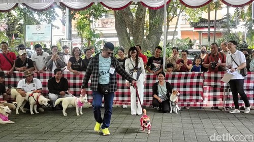 Kegiatan dog fashion show di DTIK Festival 2025 pada Sabtu (1/3/2025). (Ni Made Lastri Karsiani Putri-detikBali)