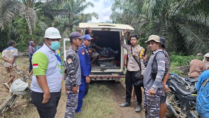 Pria berinisial RY (32) di Kutai Timur, Kalimantan Timur (Kaltim), tewas diterkam buaya berukuran 5 meter saat memancing di sungai.