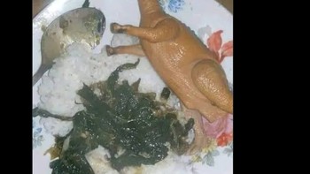 Menu sahur hari pertama... Foto: X.com