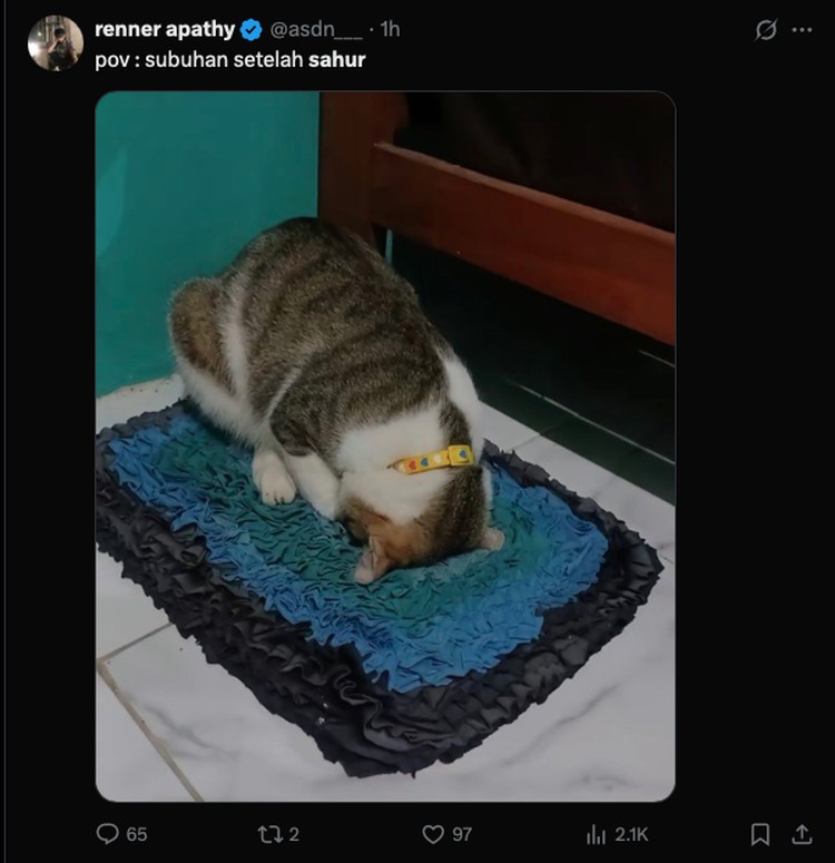 Meme Sahur