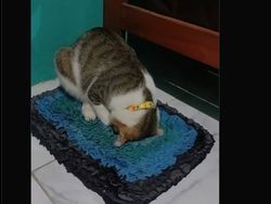 Meme Kocak Sahur Pertama di Ramadhan 2025