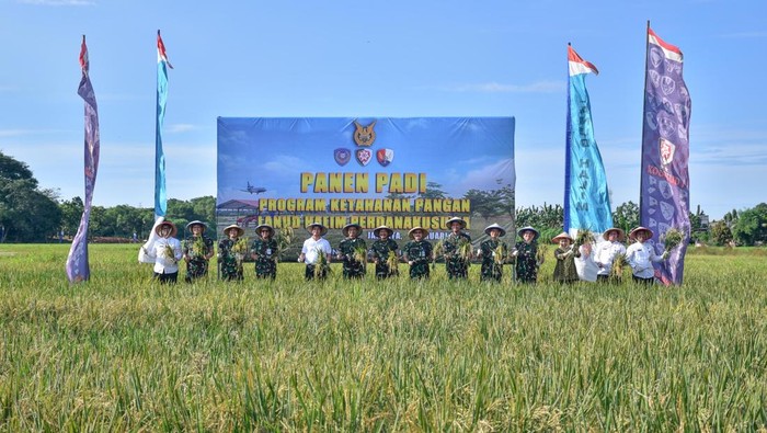 Panen Padi di Halim Farm. (dok. ist)