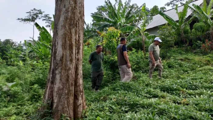 Pengungsi tanah gerak di Purwodadi, Pasuruan kehilangan tabung LPG dan ternak.