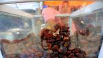 Potret Makanan yang Diburu di Bulan Ramadan