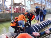 Nelayan Ditemukan Tewas Usai Jatuh dari Kapal di Segara Anakan Cilacap