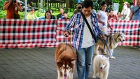 Kegiatan yang digelar Pemerintah Kota Denpasar tersebut diikuti puluhan peserta sebagai upaya pencegahan rabies.