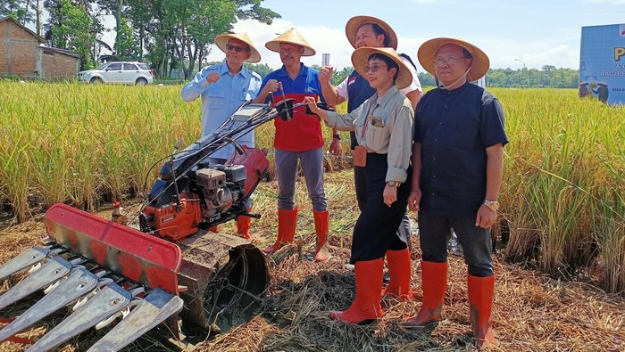 Alat pemanen padi otomatis untuk kelompok tani di Ponorogo