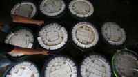 Menurut pelaku usaha di daerah itu, produksi tahu pada awal Ramadhan 1446 Hijriah meningkat drastis dengan kebutuhan kacang kedelai mencapai satu ton per hari dari sebelumnya yang hanya 500 kg.  
