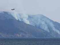 Jepang Hadapi Kebakaran Hutan Terbesar dalam 3 Dekade, Ribuan Warga Dievakuasi