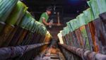 Melihat Pembuatan Lemang yang Laris Manis Saat Ramadan