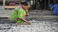 Hasil tangkapan udang rebon nelayan setempat anjlok akibat cuaca buruk yang terjadi sejak empat bulan terakhir. 
