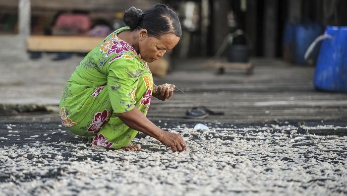 Proses pengeringan udang rebon dilakukan dengan cara dijemur di bawah sinar matahari. Yuk lihat proses pengeringan di tengah anjloknya tangkapan nelayan.