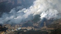Asap membubung dari hutan yang terbakar. 