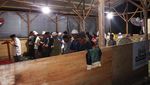 Potret Pengungsi Erupsi Gunung Lewotobi Salat Tarawih di Musala Darurat