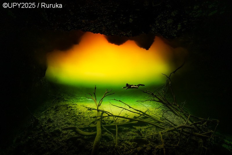 Underwater Photographer of the Year 2025