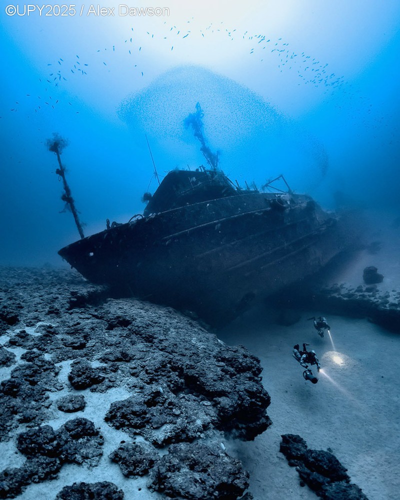 Underwater Photographer of the Year 2025