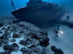 Terpukau dengan Karya Jawara Kontes Foto Underwater Photographer of the Year