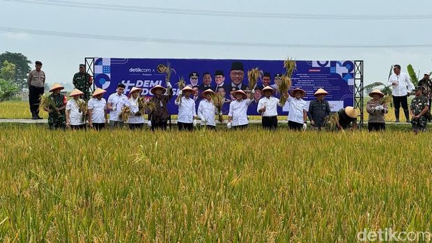 Demi Indonesia Mandiri Pangan