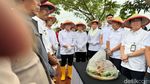 Penegasan Menko Zulhas Harga Gabah Petani Dibeli Minimal Rp 6.500