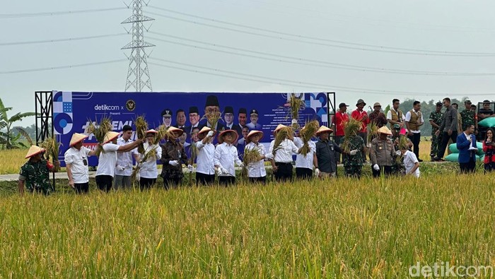 Demi Indonesia Mandiri Pangan