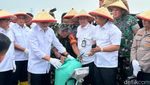 Potret Menko Zulhas Panen Raya #DemiIndonesia Mandiri Pangan