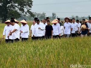 Momen Menko Zulhas Ikuti Tradisi Methil di #DemiIndonesia Mandiri Pangan